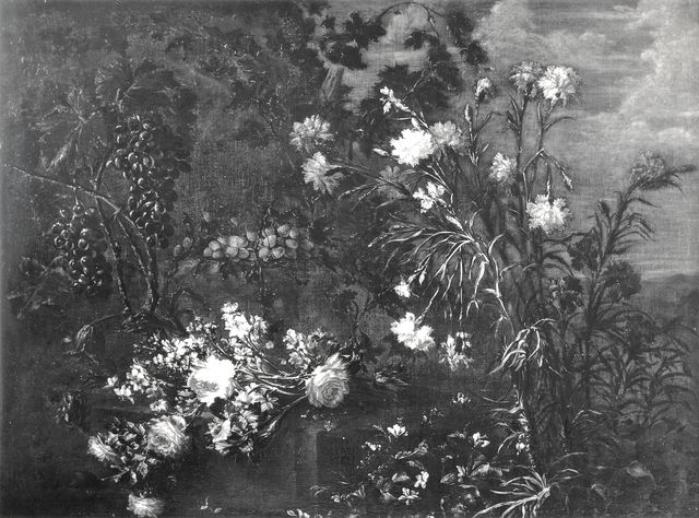 Boccardi, Cosimo — Marchioni Elisabetta (?) - sec. XVII - Natura morta con frutta e fiori — insieme